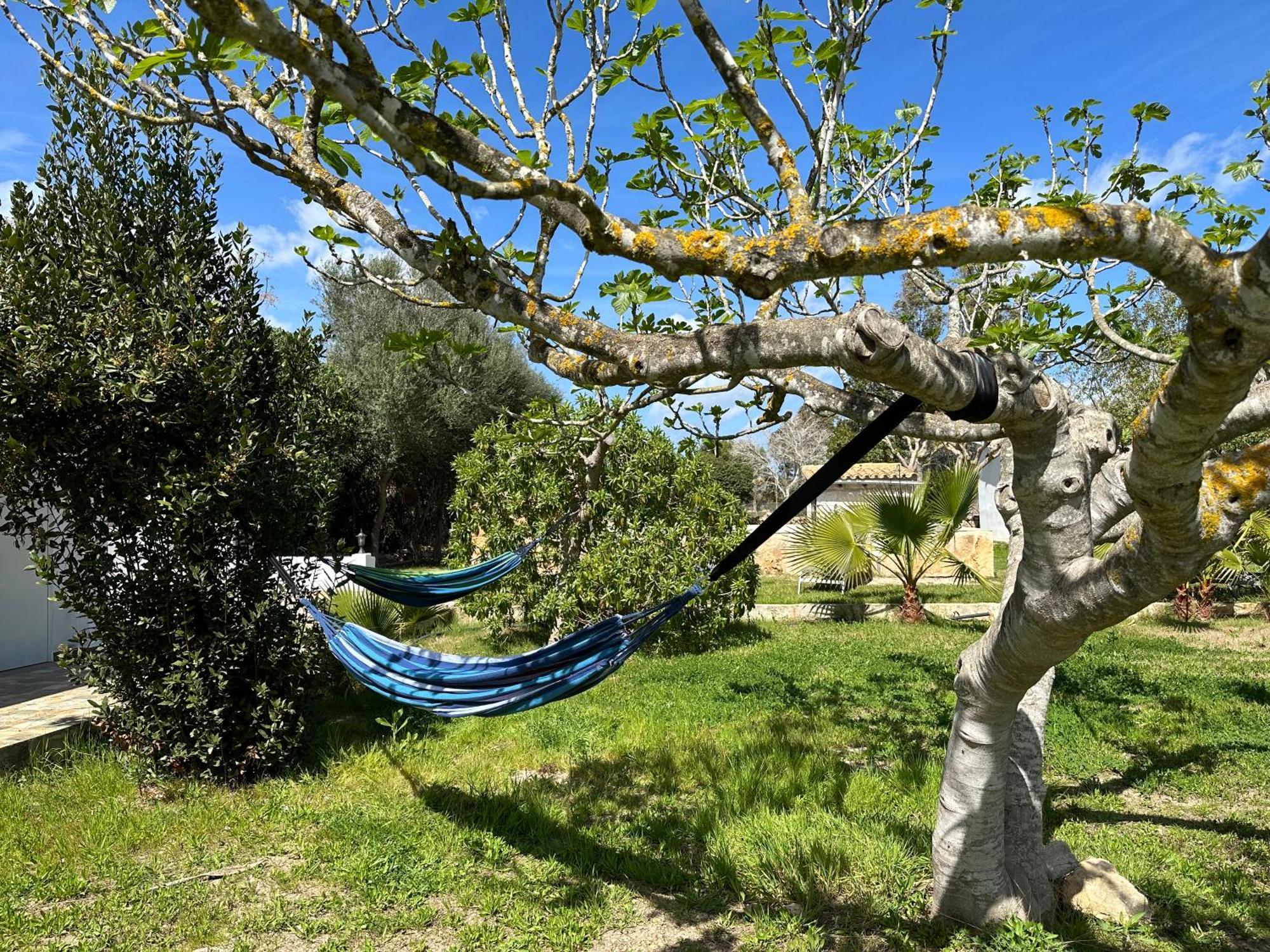 Vakantiehuis Finca Roberto Can Picafort (Mallorca)